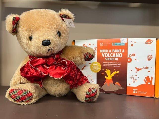 Additional photo from “Service League Thrift Shop Gets “Dolled Up” for Holiday Giving.”